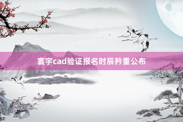 寰宇cad验证报名时辰矜重公布