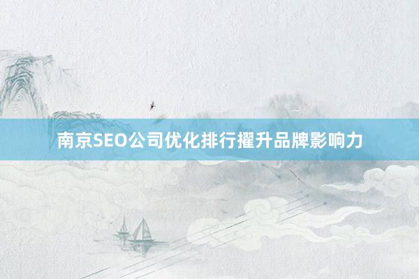 南京SEO公司优化排行擢升品牌影响力