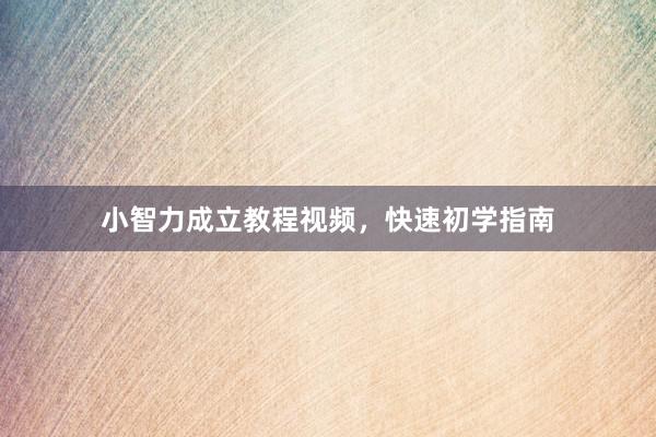 小智力成立教程视频，快速初学指南