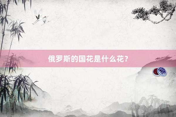 俄罗斯的国花是什么花？